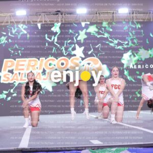 Psv0282