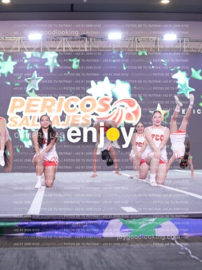 Psv0285
