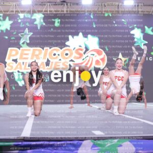Psv0285