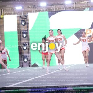Psv0291