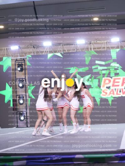 Psv0304
