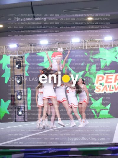 Psv0306