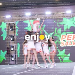 Psv0306