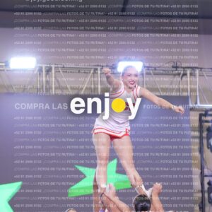 Psv0316