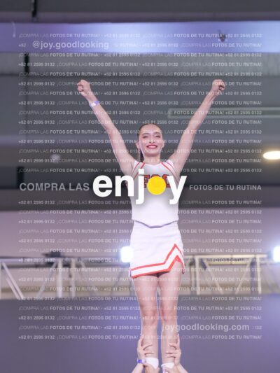 Psv0317