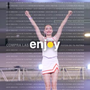 Psv0317