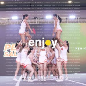 Psv0330
