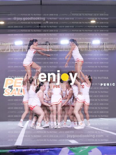 Psv0331