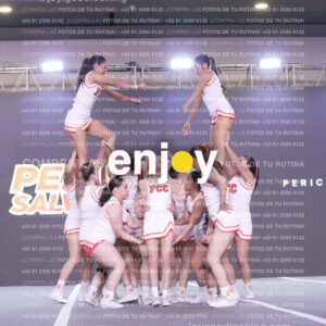 Psv0331