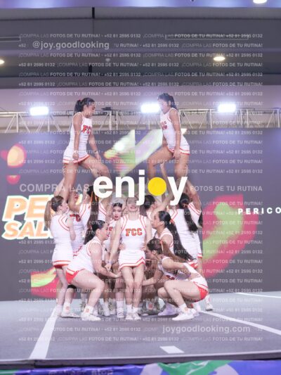 Psv0333