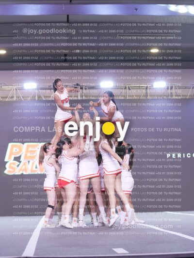 Psv0336