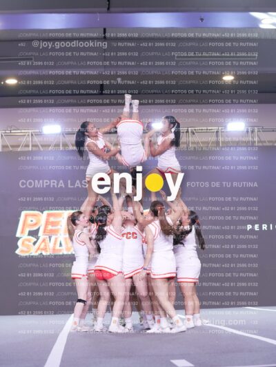 Psv0338