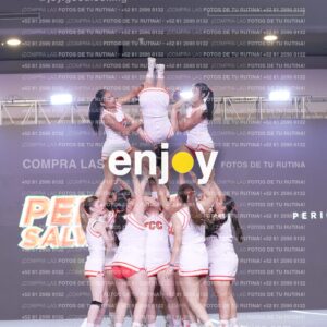 Psv0338