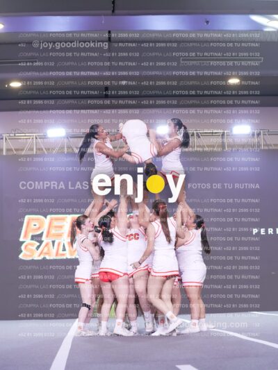 Psv0339