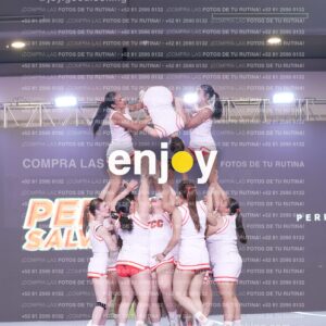 Psv0339