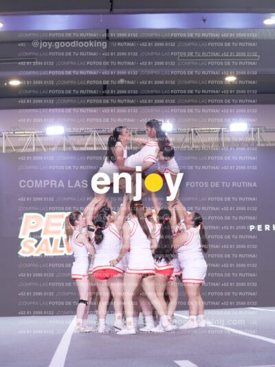 Psv0340
