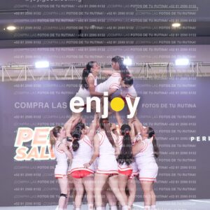 Psv0340
