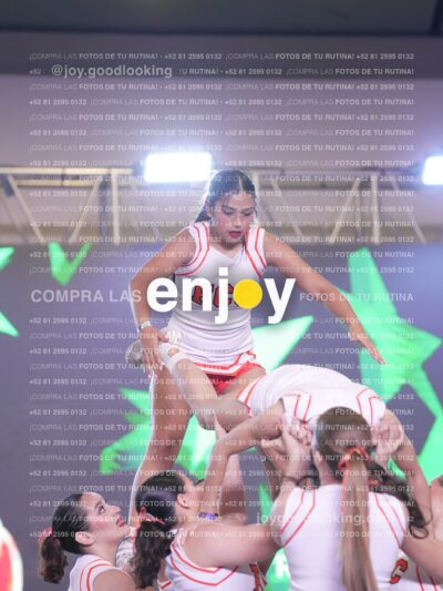 Psv0355