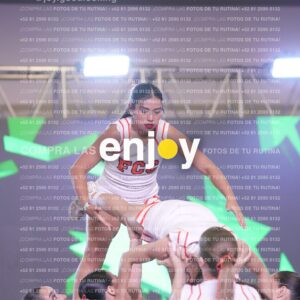 Psv0356