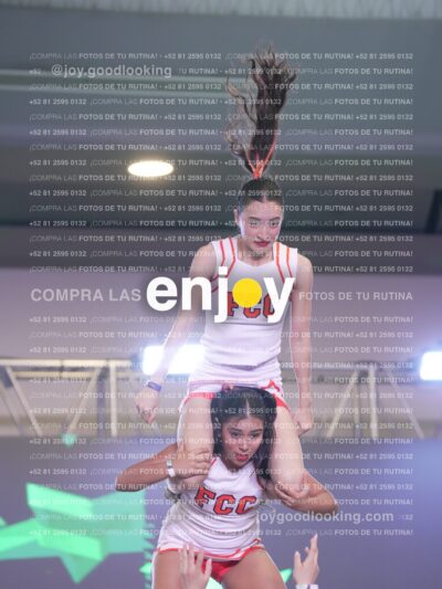 Psv0358