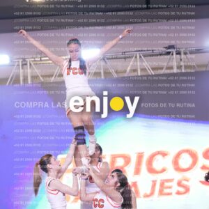 Psv0376