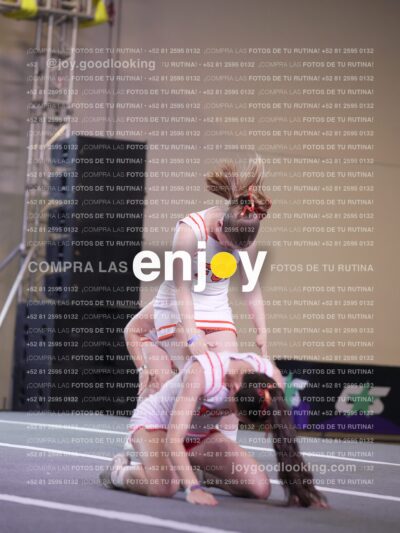 Psv0392