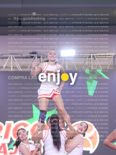 Psv0401