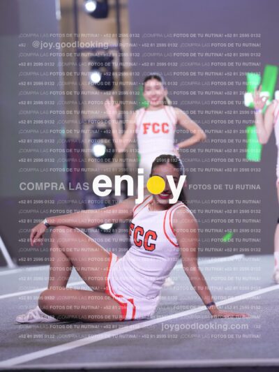 Psv0406