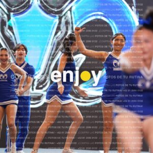 Ptm0207