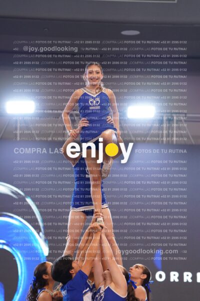 Ptm0237