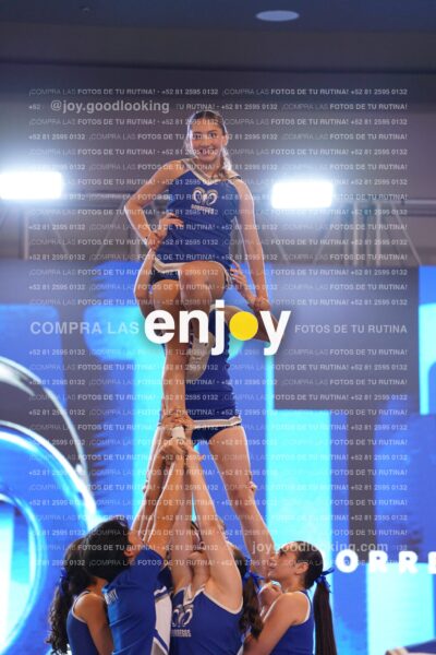 Ptm0242
