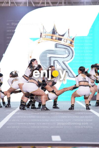 Rib0463