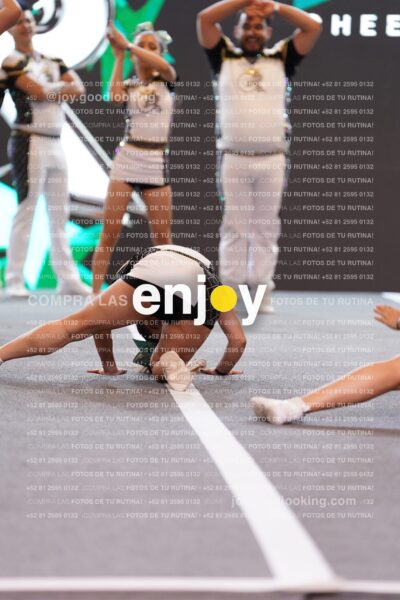 Roy0381