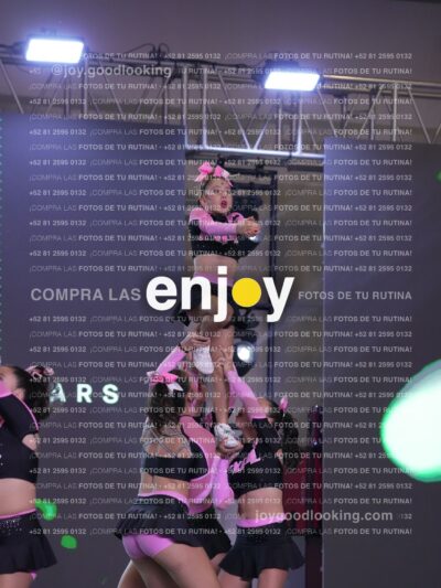 Sae0593