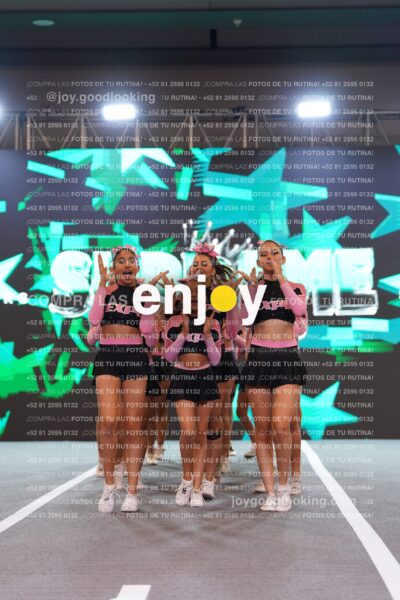 Ses0310