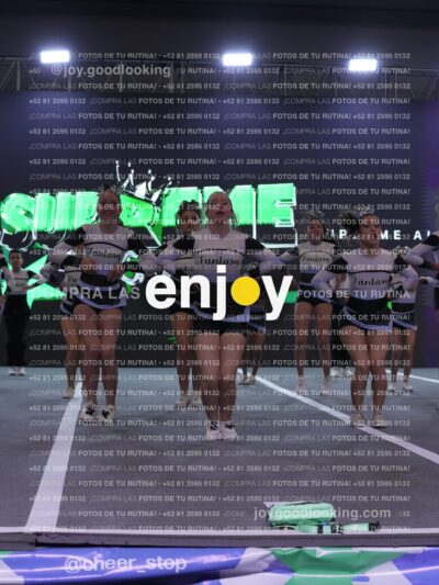 Sfj0413