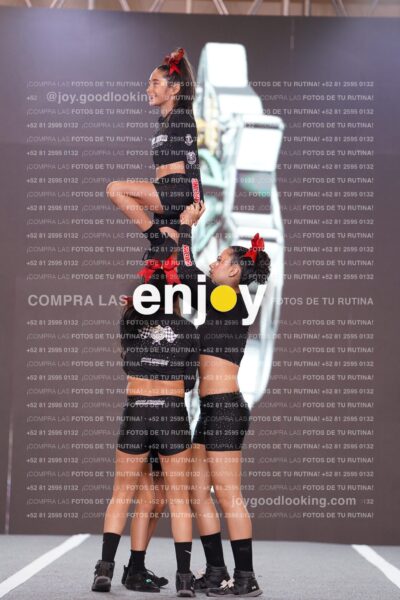 Sln0246