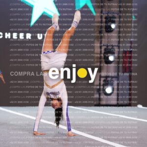 Ssj0208