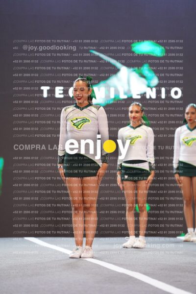Tsn0161