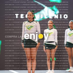 Tsn0161