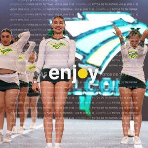 Tsn0178