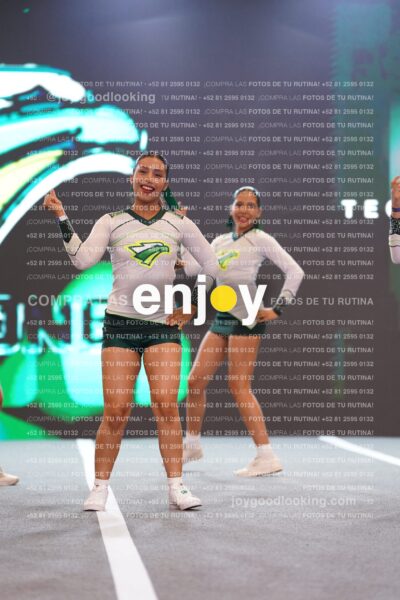 Tsn0192