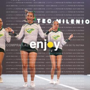 Tsn0198