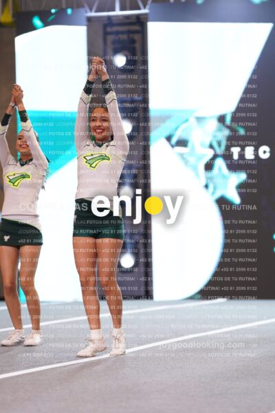 Tsn0202