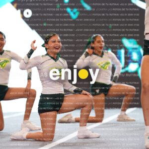 Tsn0206
