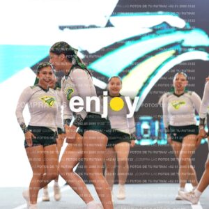 Tsn0210