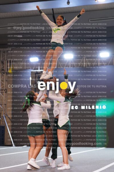Tsn0233