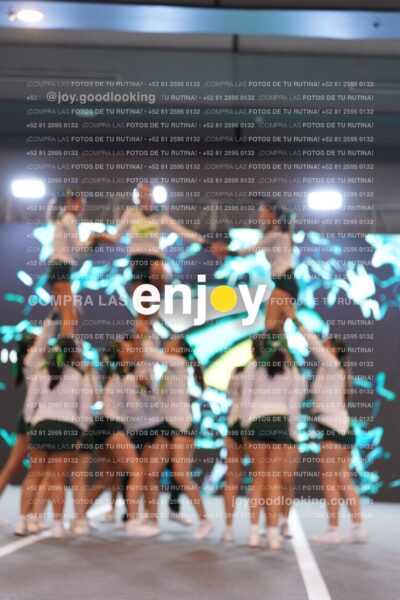 Tsn0245