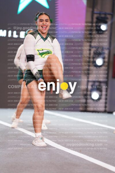 Tsn0275