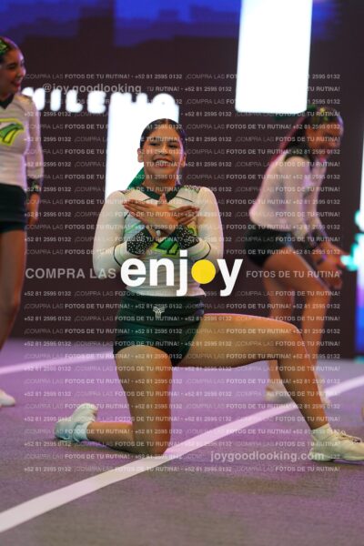 Tsn0312